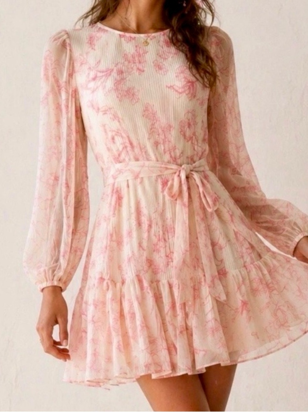 BCBG Pale Pink Floral Tie-Waist Chiffon Mini Dress
